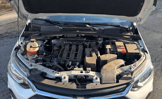 1770125412737_70b0647c-537a-47fa-9eaa-048686234cec